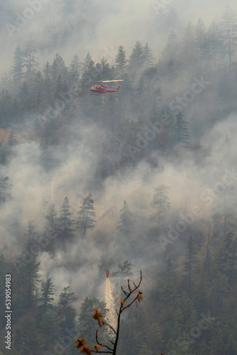 Nohomin Creek Forest Fire