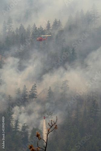 Nohomin Creek Forest Fire