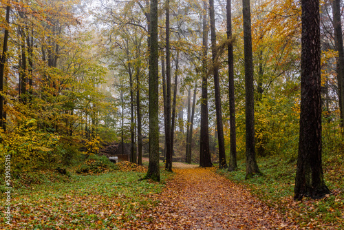 Autumn view of a path to Potstejn castle, Czech Republic