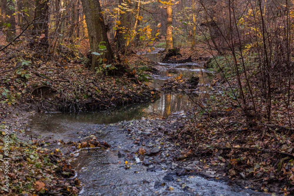 Autumn view of Kunraticky potok stream in Prague, Czech Republic Autumn view of Kunraticky potok stream in Prague, Czech Republic