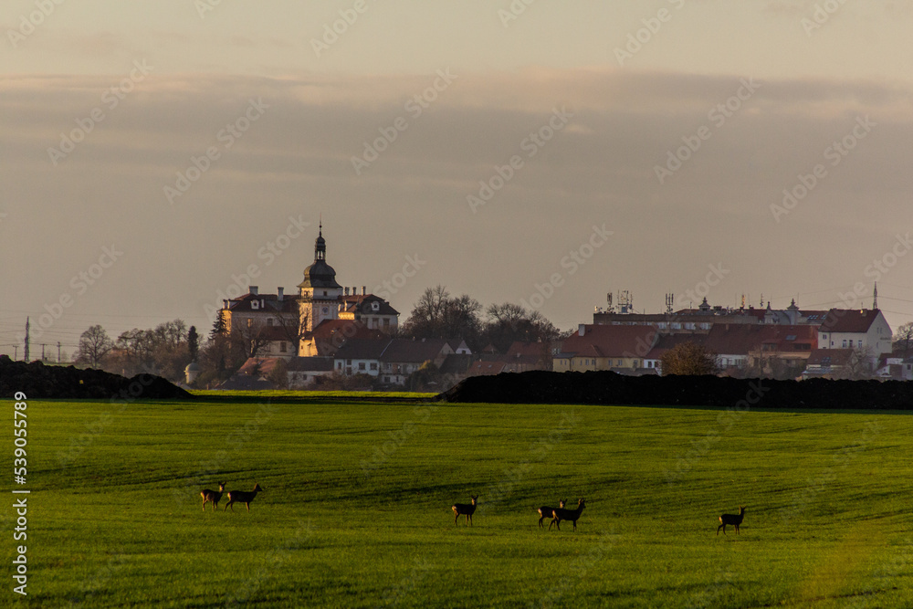 View of a field with deer and Benatky nad Jizerou town, Czech Republic