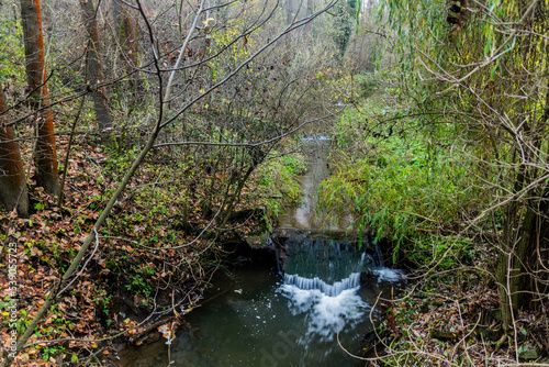 Autumn view of Dalejsky potok stream in Prague  Czech Republic