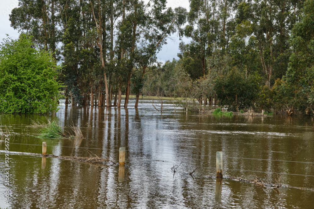 Yarra River Breaks It's Banks Between Yarra Glen and Coldstream, Victoria. Extensive Flooding of Roads and Farmland As a Result Yarra River Breaks It's Banks Between Yarra Glen and Coldstream, Victoria. Extensive Flooding of Roads and Farmland As a Result