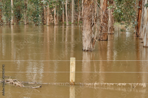 Yarra River Breaks It's Banks Between Yarra Glen and Coldstream, Victoria. Extensive Flooding of Roads and Farmland As a Result photo