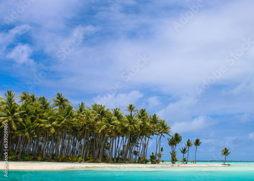 Tropical beach point with a white sandy beach and palm trees 