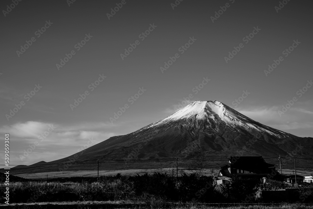 Fototapeta premium Mt'FUJI