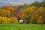 A round hale of bay with the background of fall foliage near Watkins Glen, New York, U.S