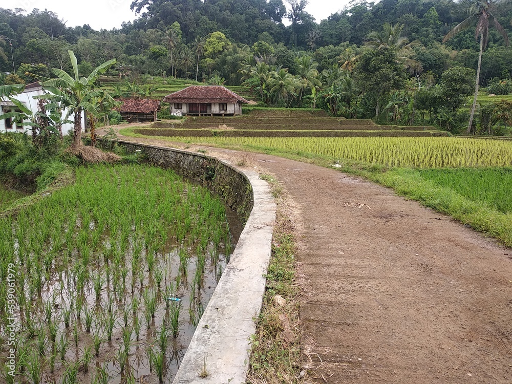View of Rural Agricultural, Villages and landscape of Sukabumi West Java Indonesia. View of Rural Agricultural, Villages and landscape of Sukabumi West Java Indonesia.