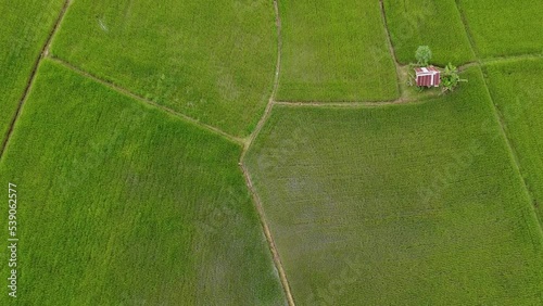 Image of beautiful Terraced rice field in water season and Irrigation from drone,Top view of rices paddy field,nan,thailand