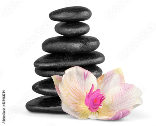 Zen basalt stones and flower on background