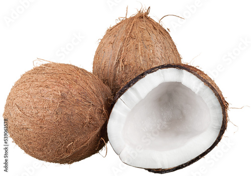 Fotografia Coconuts