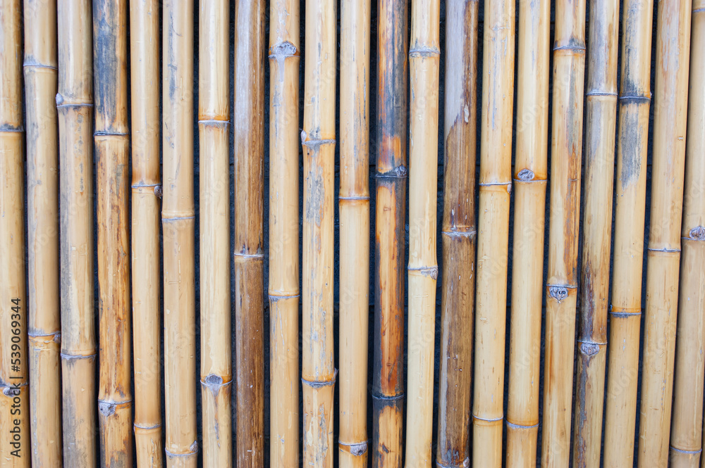 Fototapeta premium background wall made of bamboo