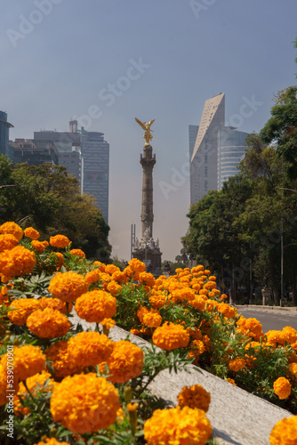 Mexico City  view of the Angel of Independence on the famous Reforma Avenue full of beautiful cempasuchil flowers in Mexico City