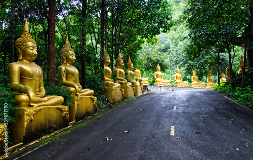 statues de bouddha placées le long d'un chemin menant à un monastère photo