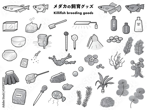 観賞魚の飼育グッズのイラストセット 　アクアリウム水槽