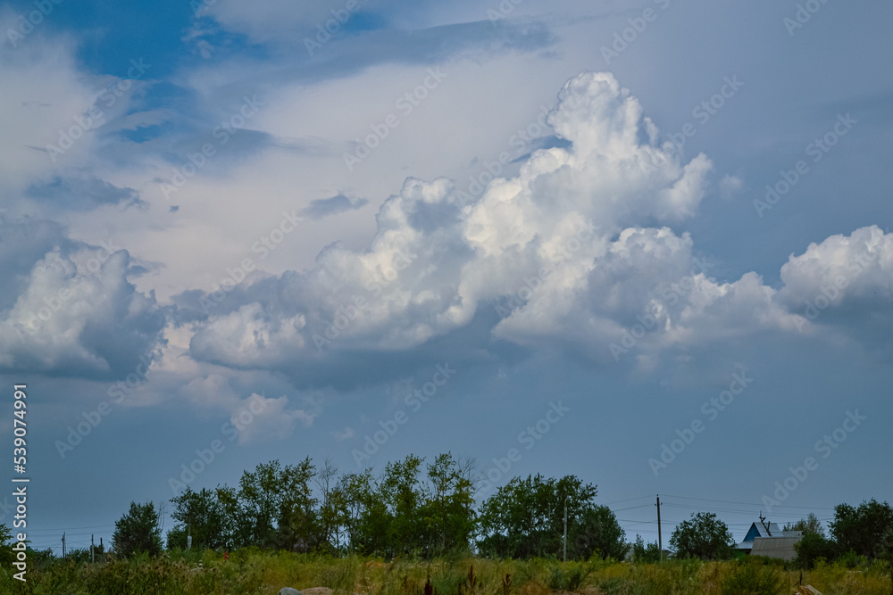 Beautiful sky and white cumulus clouds on it over trees and a field with green grass