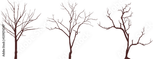 autumn tree sketch vector design with many branches