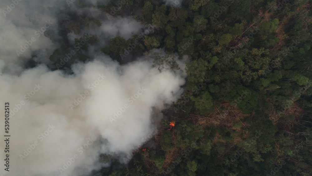 Vertical view, Dangerous wildfires. A lot of white smoke is due to forest fires in a tropical forests. Vertical view, Dangerous wildfires. A lot of white smoke is due to forest fires in a tropical forests.