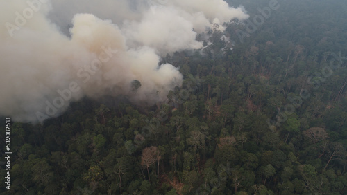 Dangerous wildfires. A lot of white smoke is due to forest fires in a tropical forests.