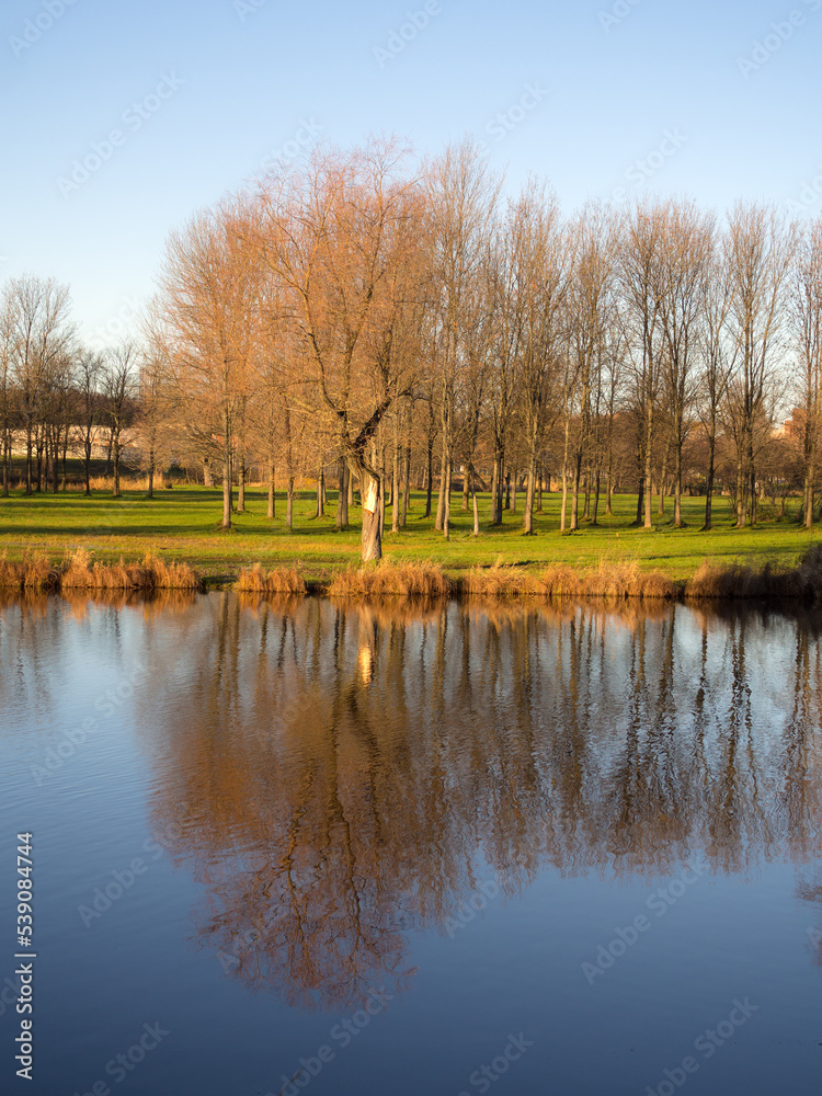 park with reflections in autumn park with reflections in autumn