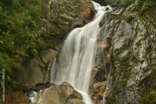 waterfall in the forest