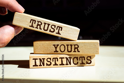 Wooden blocks with words 'Trust your Instincts'.