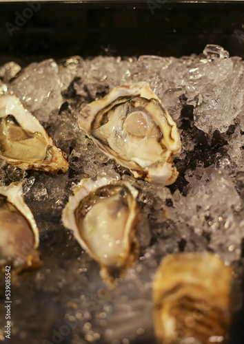   Fresh oysters on ice at a seafood restaurant. Ready for eat or serving, Selective focus. Oysters are protein rich and raw with lemon a delicacy