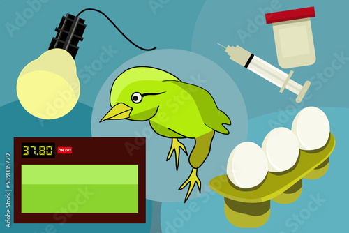 chick vector set, vaccine, incubator and light bulb
