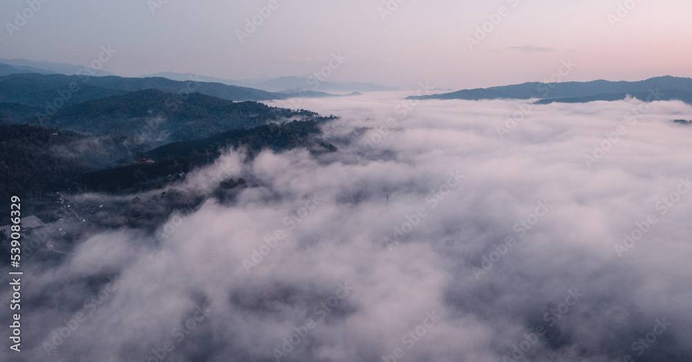 Morning fog and clouds in the hill forest