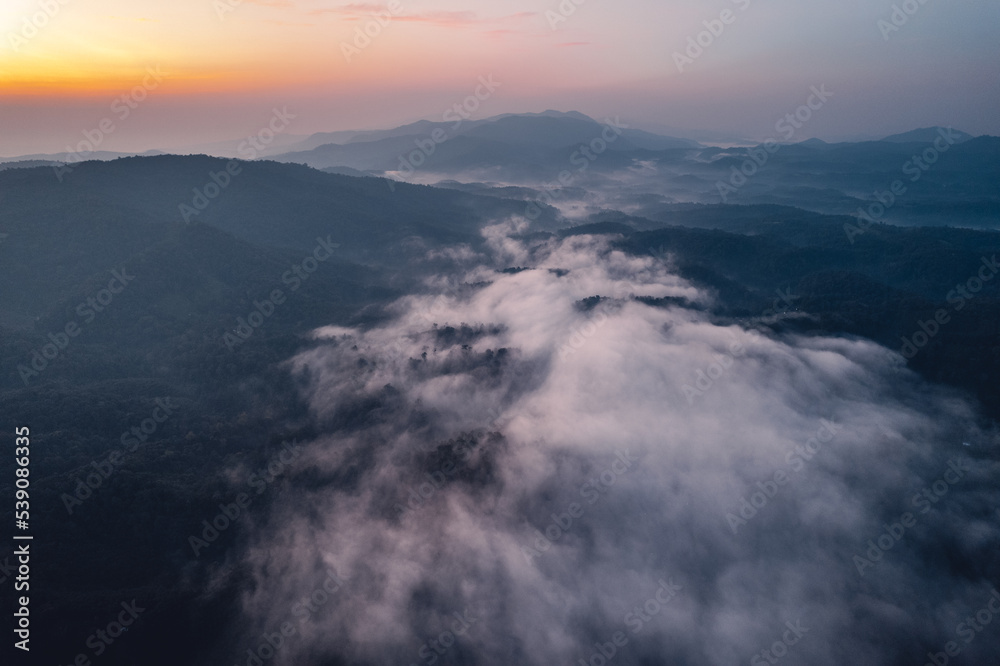 Morning fog and clouds in the hill forest