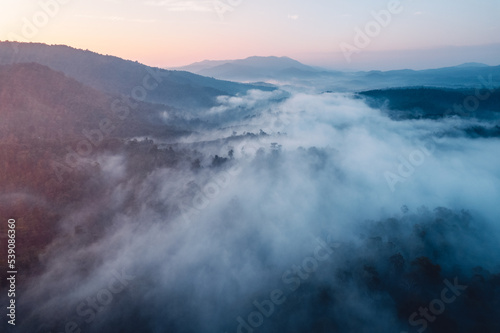 Morning fog and clouds in the hill forest