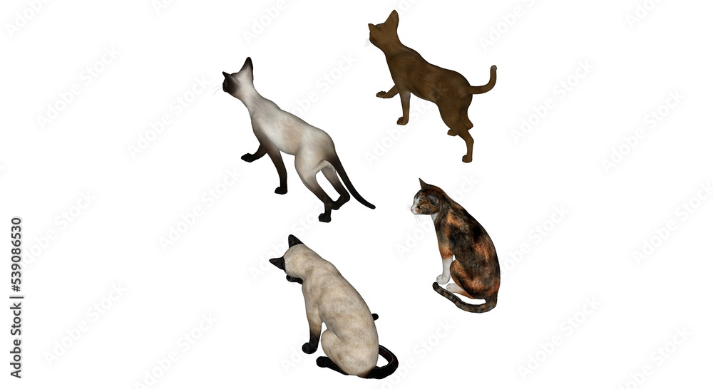 3D High Poly Cats - SET1 Color - Isometric View 4