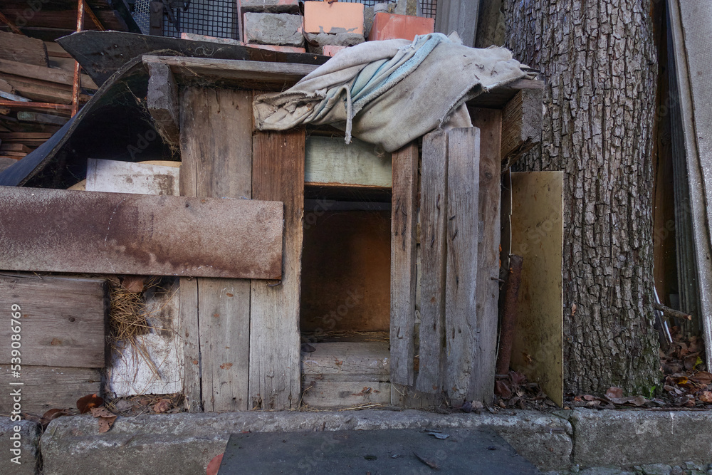 An old wooden abandoned dog kennel with a curtain made from a piece of fabric. He stands in an abandoned village yard near a tree. The bricks are on top.