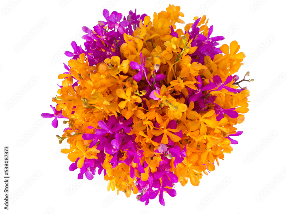 Circle flower of orange orchid and purple orchid , white background Circle flower of orange orchid and purple orchid , white background