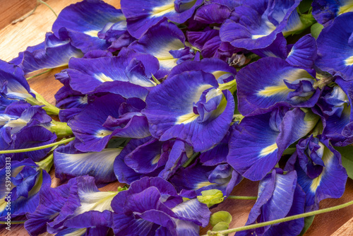 Butterfly pea or Asian Pigeonwing. Blue pea with leaf on wooden background.