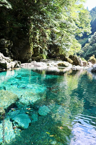 安居渓谷 仁淀川水系で一番美しい水流 水晶淵 日本一の清流 自然公園