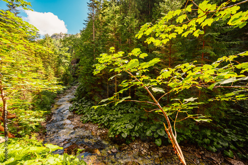 Mountain landscape in mountains, Juranova dolina - valley in The Western Tatras national park. Slovakia, oravice, Orava region. photo