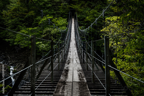 吊り橋　旅行　観光　自然 photo
