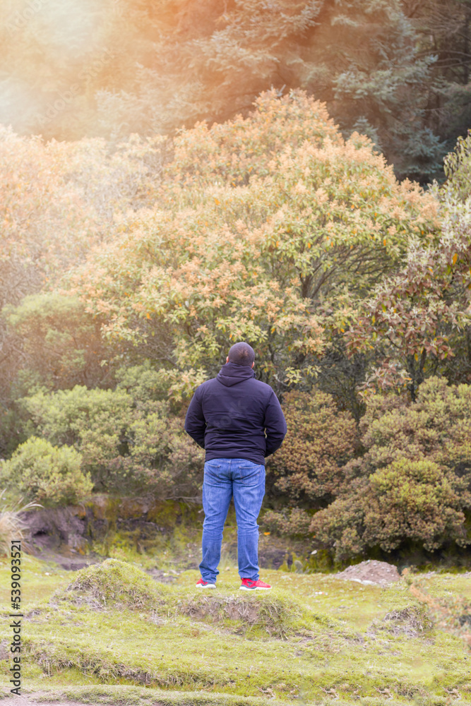 traveler man from behind contemplating the mountain in autumn traveler man from behind contemplating the mountain in autumn