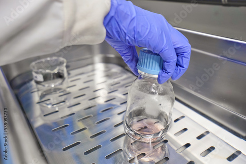 Hand of researcher with nitrile grove, The researcher warm the cell culture media in the water bath to prepare cell test and change media. The lab test in the laboratory room.