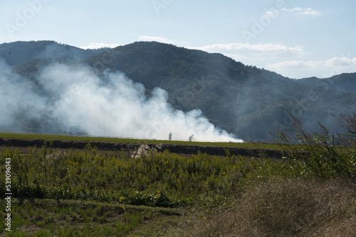 Wallpaper Mural Burning rice fields after harvesting (Japanese agricultural method) Torontodigital.ca