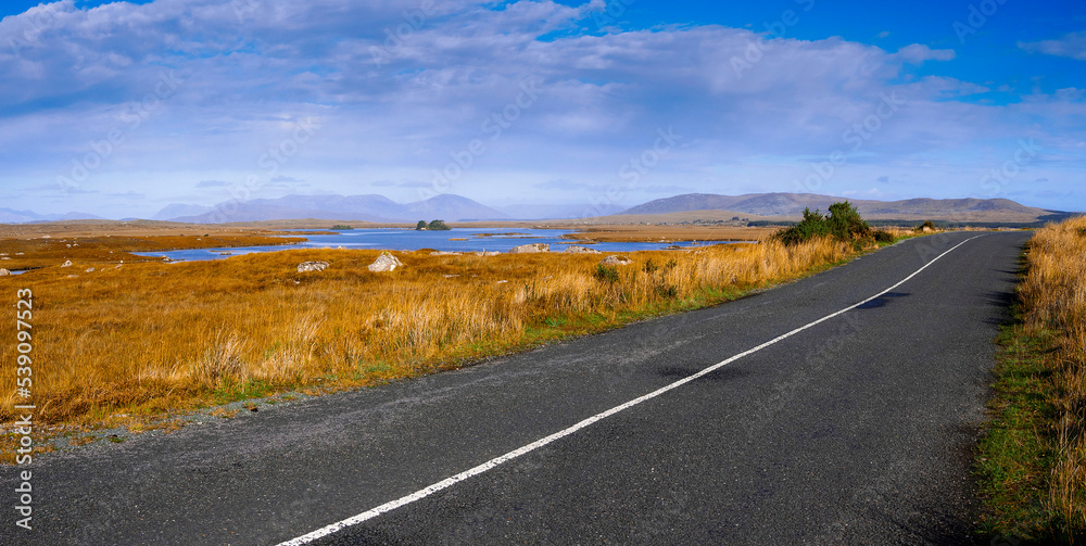 Small road in Connemara. Warm sunny day. Nature scenery with yellow vast fields and mountains in the background. County Galway, Ireland. Irish landscape. Travel and tourism.
