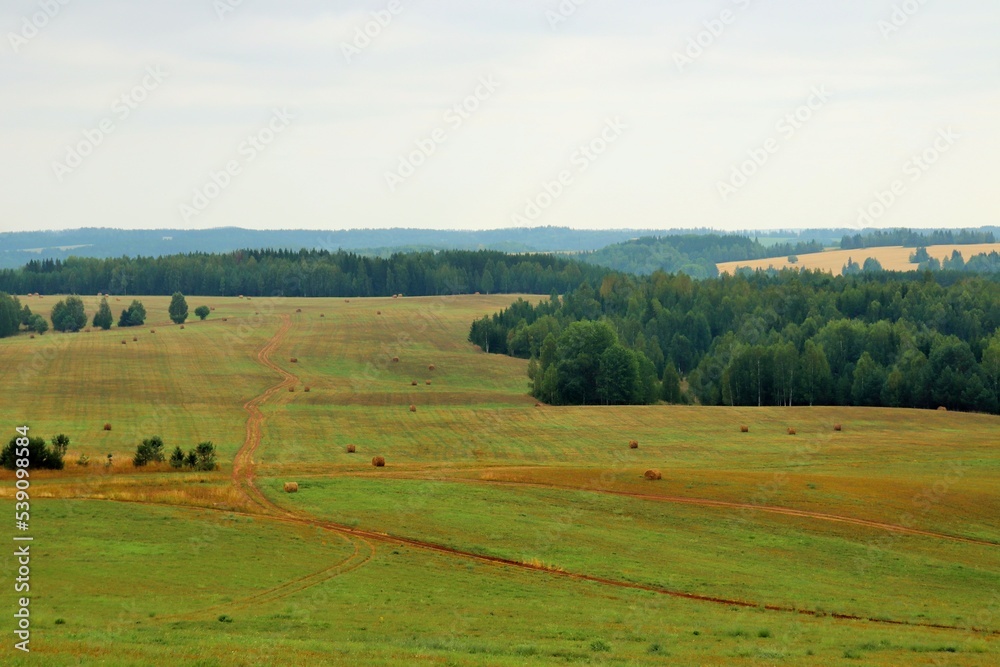 Landscape, view of a pasture on a hilly plain