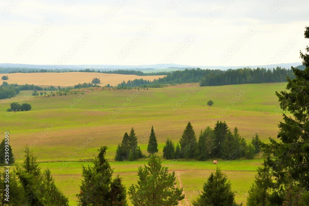 Landscape, view of a pasture on a hilly plain Landscape, view of a pasture on a hilly plain
