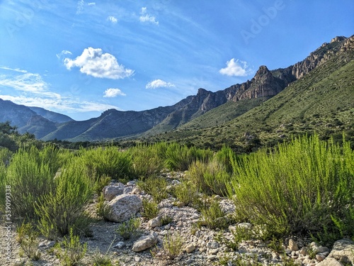 Guadalupe National Park Valley