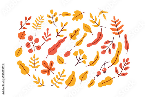 Yellow Leaves vector composition. Autumn  fall