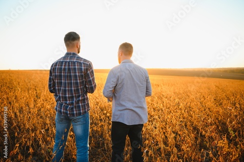 Portrait of two farmers in a field examining soy crop