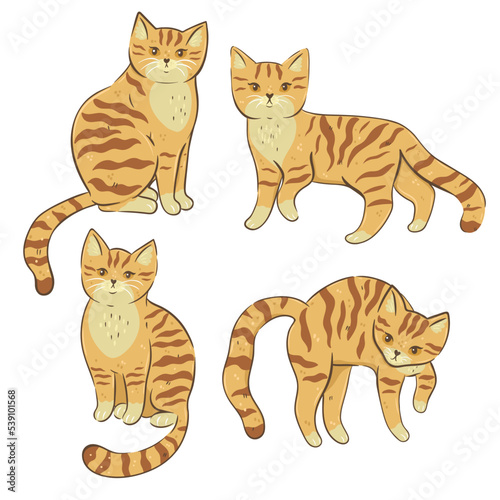 Canvas Print Set of sand dune cats isolated on white background