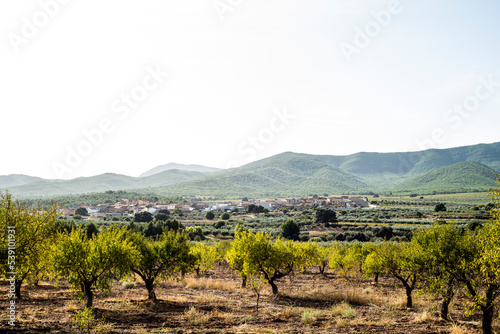 Tazona village, in Socovos, Albacete, Spain photo