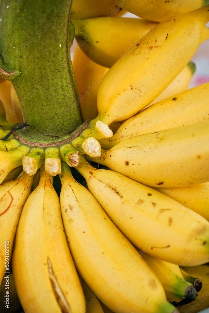 Pile of bananas, close up shot